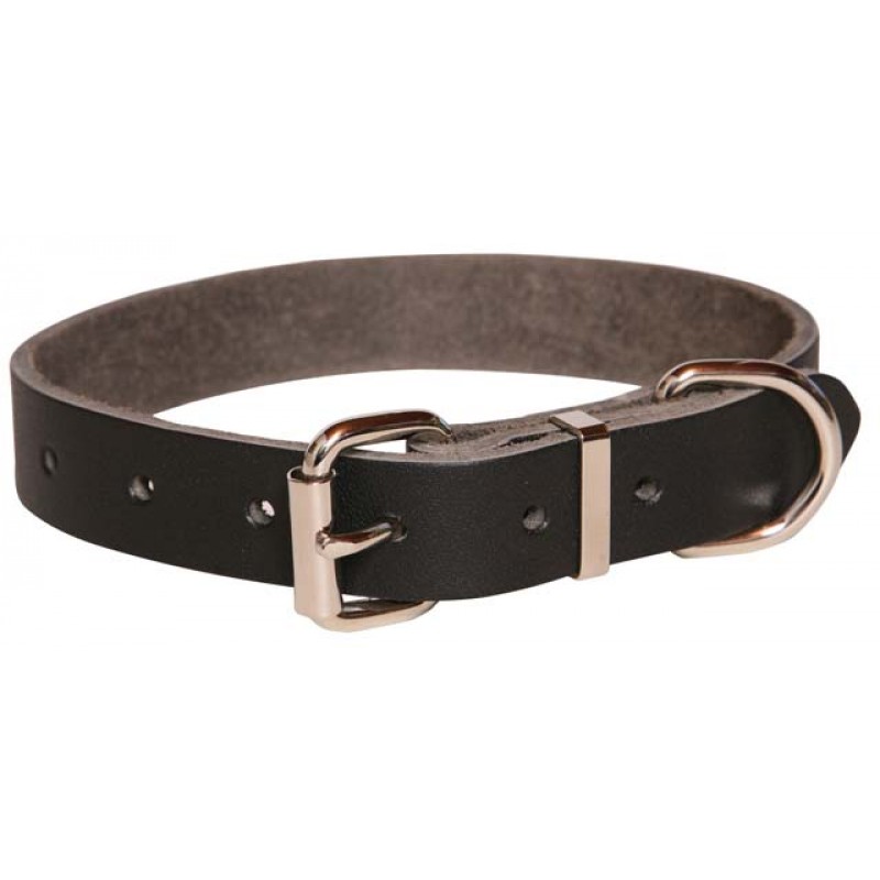 Heavy duty collar store